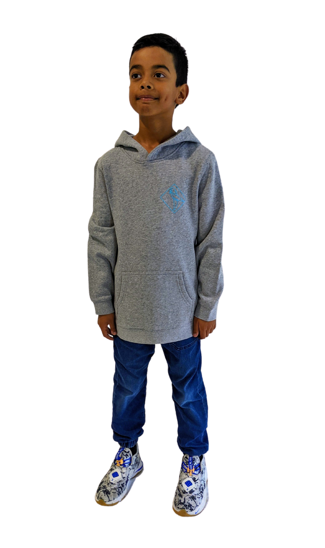 Boys Evolution Hoodie Grey Raya Clothing